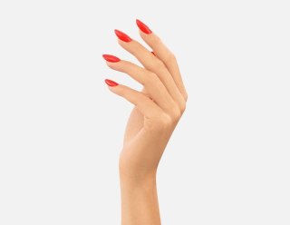 Victoria Vynn lakier hybrydowy Gel Polish 113 KING OF RED 8 ml